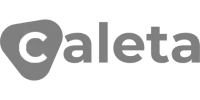 Visa partner logo